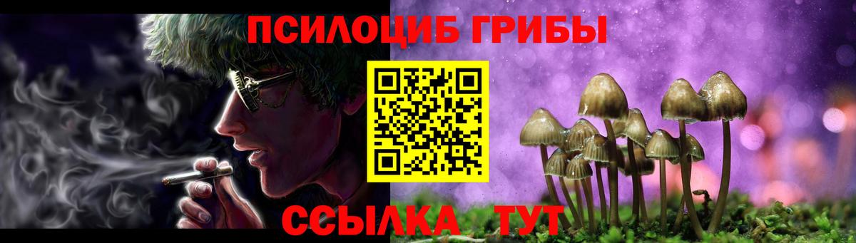 Галлюциногенные грибы Psilocybe  Вход с VPN  сколько стоит  Псилоцибиновые грибы Psilocybe  Фурманов 